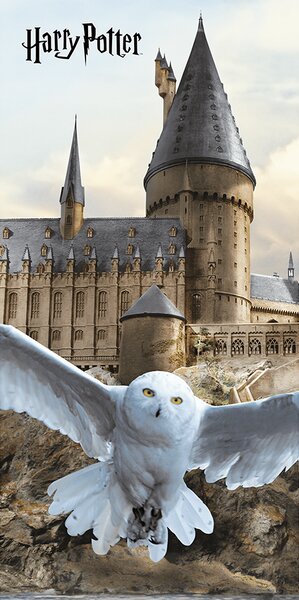 Jerry Fabrics Dětská osuška HARRY POTTER - HEDWIG 02 70x140 cm