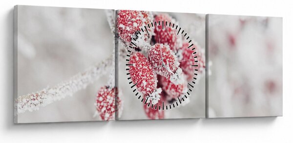Obraz - Zmrzlé plody (s hodinami) (90x30 cm)