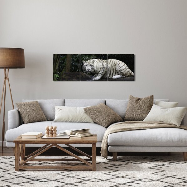 Obraz - Tygr albín (s hodinami) (90x30 cm)