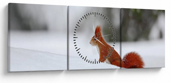 Obraz veverky (s hodinami) (90x30 cm)