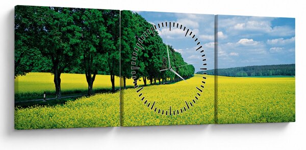 Obraz pole s alejí (s hodinami) (90x30 cm)