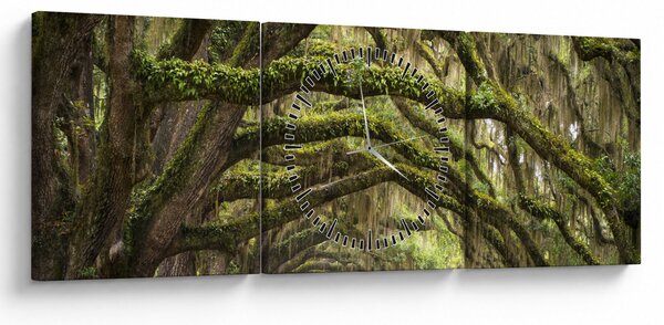 Obraz - Oaks Avenue, Charleston, Jižní Karolína, USA (s hodinami) (90x30 cm)