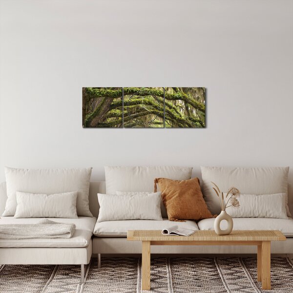 Obraz - Oaks Avenue, Charleston, Jižní Karolína, USA (s hodinami) (90x30 cm)