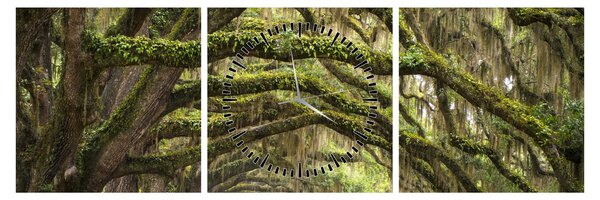 Obraz - Oaks Avenue, Charleston, Jižní Karolína, USA (s hodinami) (90x30 cm)