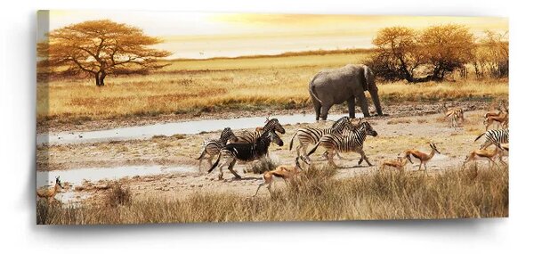 Sablio Obraz Safari - 110x50 cm