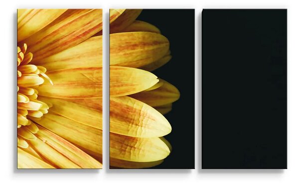 Sablio Obraz - 3-dílný Žlutá gerbera - 120x80 cm