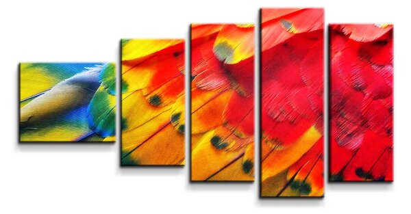 Sablio Obraz - 5-dílný Barevné peří 2 - 100x60 cm