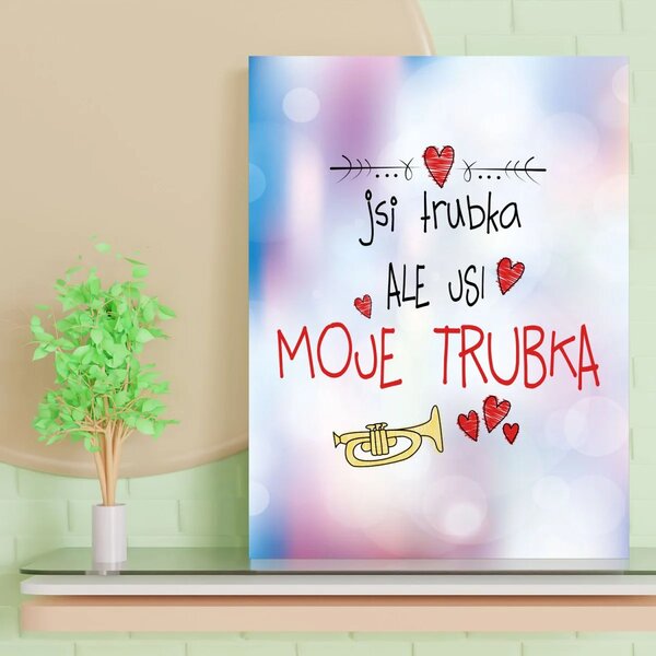 Sablio Dárková cedulka Jsi trubka, ale jsi moje trubka: 30x40 cm