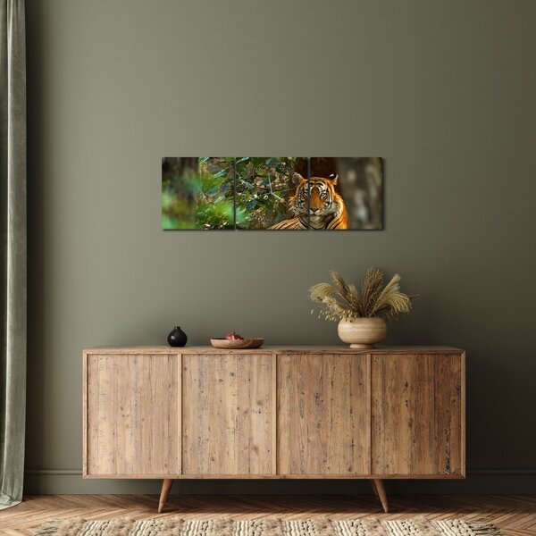Obraz odpočívajícího tygra (s hodinami) (90x30 cm)
