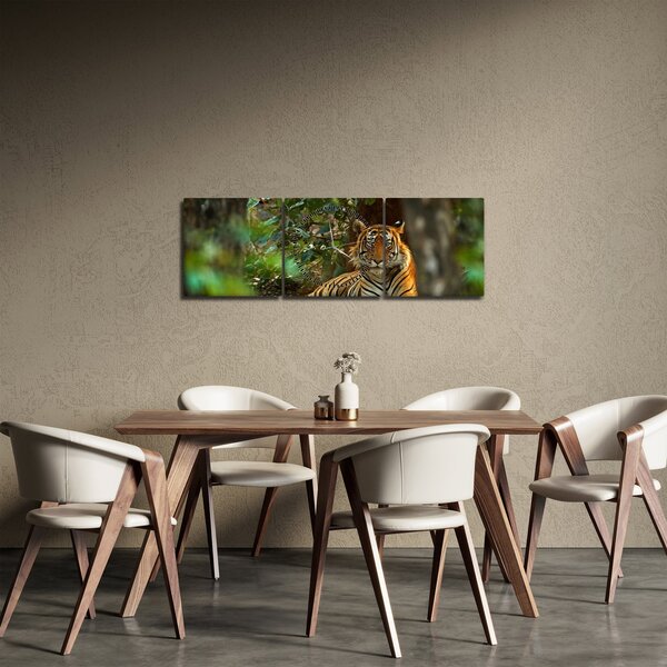 Obraz odpočívajícího tygra (s hodinami) (90x30 cm)