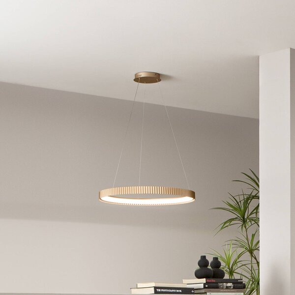 Luce Ambiente Design Závěsné světlo LED Niike, zlatá barva, Ø 50 cm, kov,, Mosaz / zlato, Obývací pokoj / jídelna, kov, Moderní