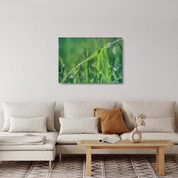 Skleněný obraz kapek rosy (70x50 cm)