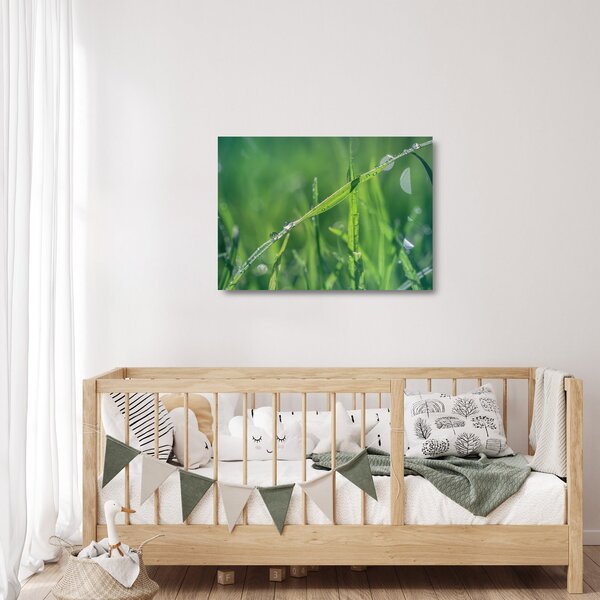 Skleněný obraz kapek rosy (70x50 cm)