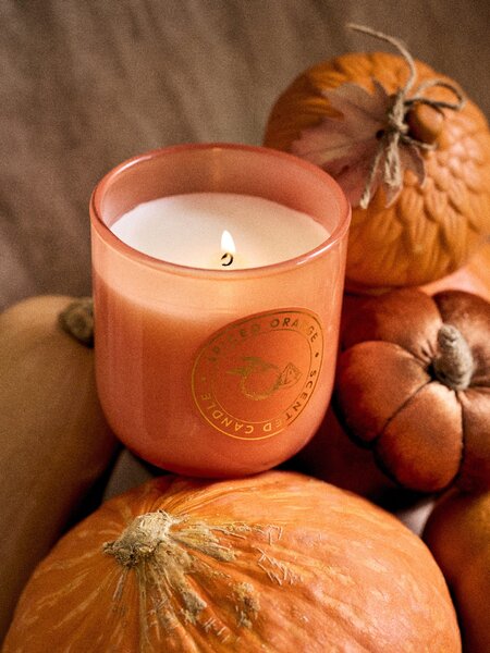 Sinsay - Vonná svíčka Spiced Orange - oranžová