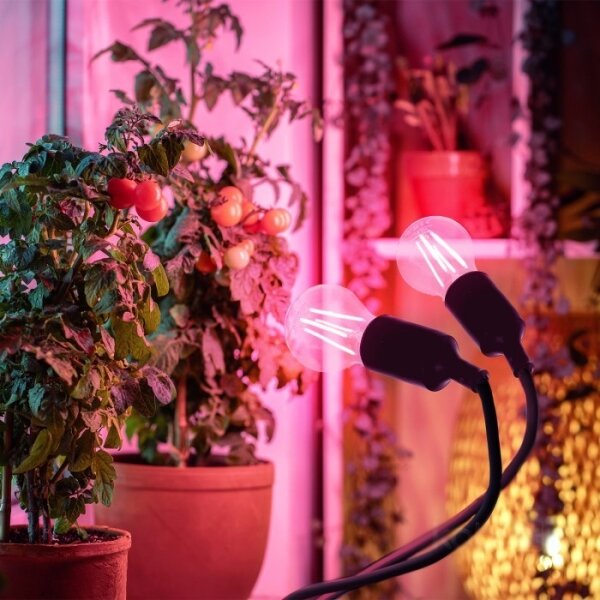 Flexibilní stolní lampa s klip pro pěstování rostlin PLANTY 2xE27/30W/230V černá