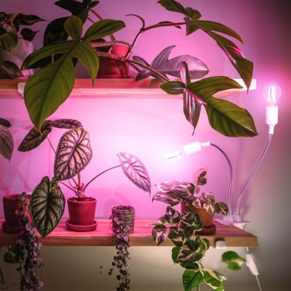 Flexibilní stolní lampa s klip. pro pěstování rostlin PLANTY 2xE27/30W/230V bílá