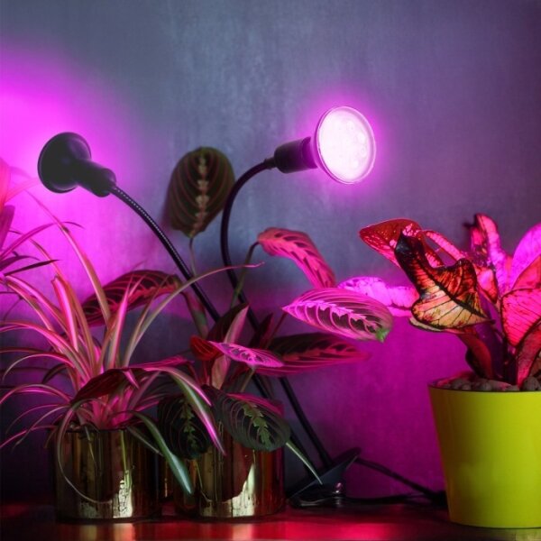 Flexibilní stolní lampa s klip pro pěstování rostlin PLANTY 2xE27/30W/230V černá