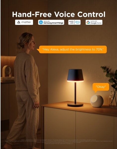 Govee - LED RGBICWW Stmívatelná stolní lampa CLASSIC MATTER LED/10W/5V Wi-Fi