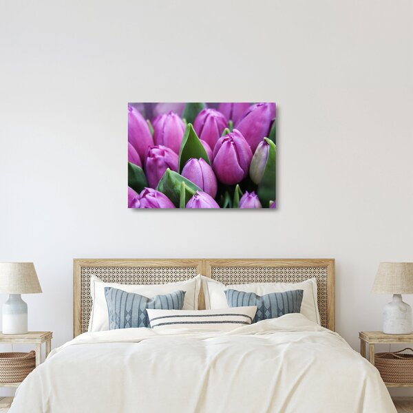 Skleněný obraz - květy tulipánů (70x50 cm)