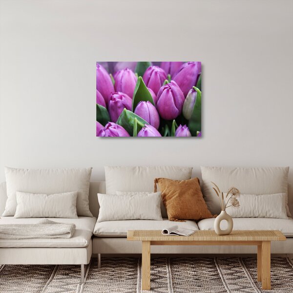 Skleněný obraz - květy tulipánů (70x50 cm)