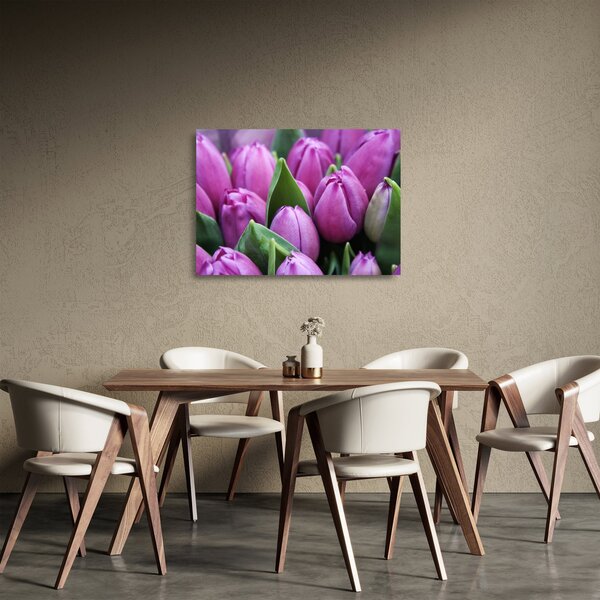 Skleněný obraz - květy tulipánů (70x50 cm)