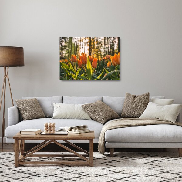 Skleněný obraz - květy tulipánů (70x50 cm)