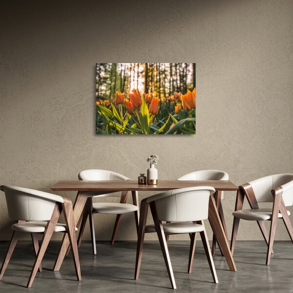 Skleněný obraz - květy tulipánů (70x50 cm)