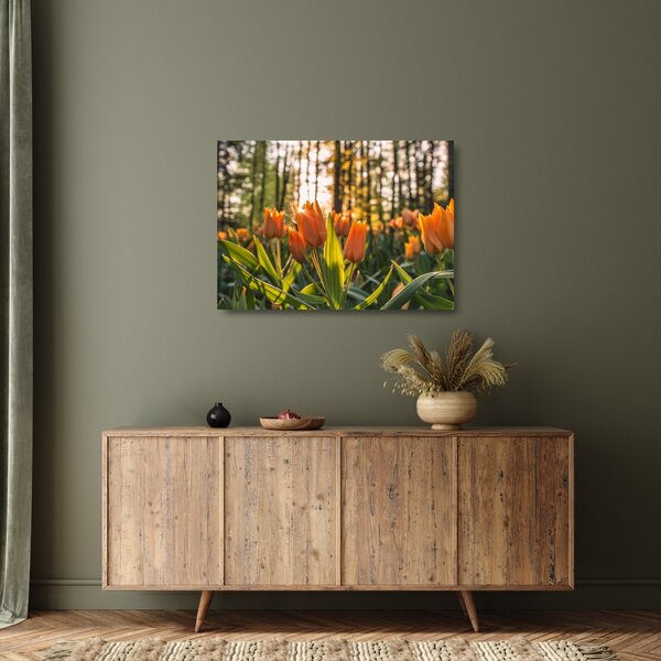 Skleněný obraz - květy tulipánů (70x50 cm)