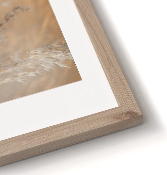 Obrazy v sadě 2 ks 30x40 cm Selloana – Styler