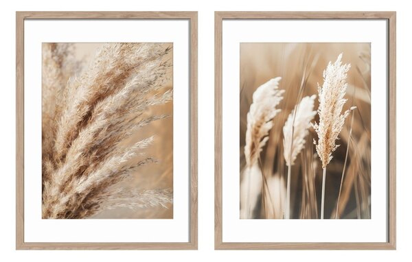 Obrazy v sadě 2 ks 30x40 cm Selloana – Styler