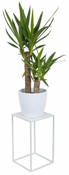 HowHomely Květinový stojan Ilja 40 cm bílý