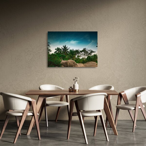 Skleněný obraz - palmy (70x50 cm)