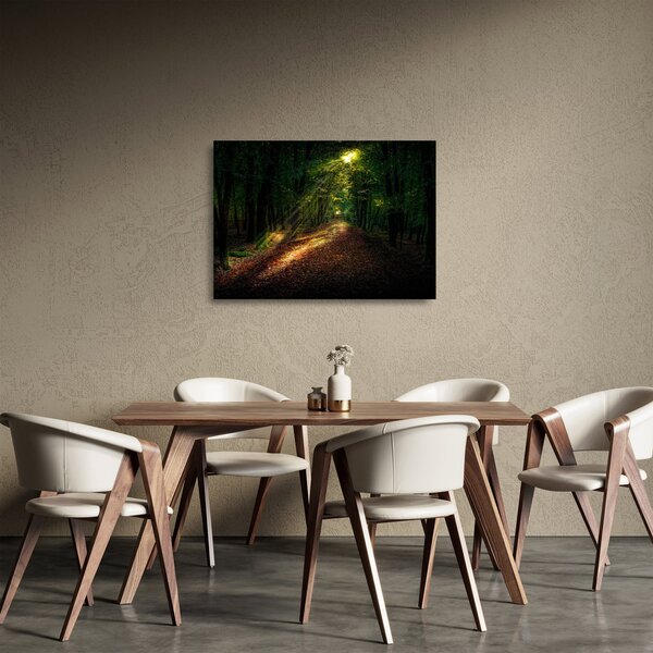 Skleněný obraz lesní cesty (70x50 cm)