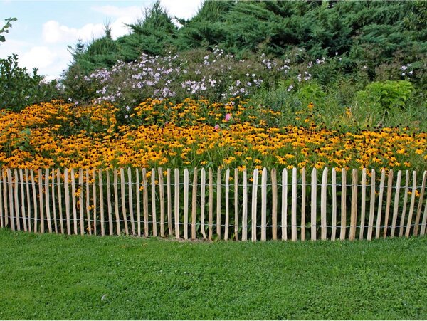 Ohrazení z lísky - Rolka 60 cm x 5 m - Přírodní zahradní plot - Rustikální okraj - Pozinkovaný drát