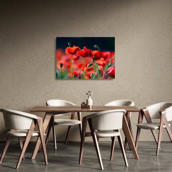 Skleněný obraz - vlčí máky (70x50 cm)