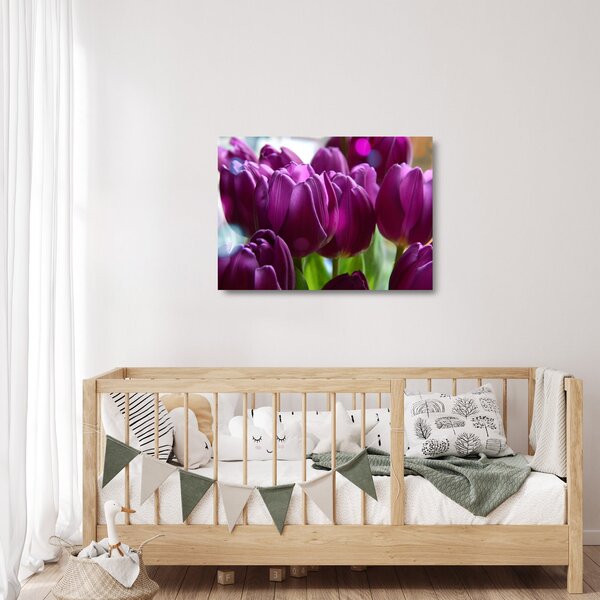 Skleněný obraz tulipánů (70x50 cm)