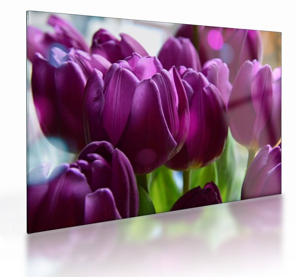 Skleněný obraz tulipánů (70x50 cm)