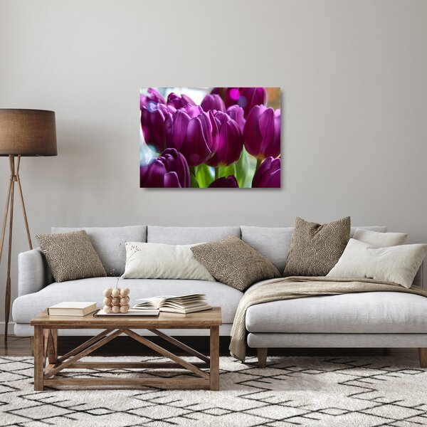 Skleněný obraz tulipánů (70x50 cm)