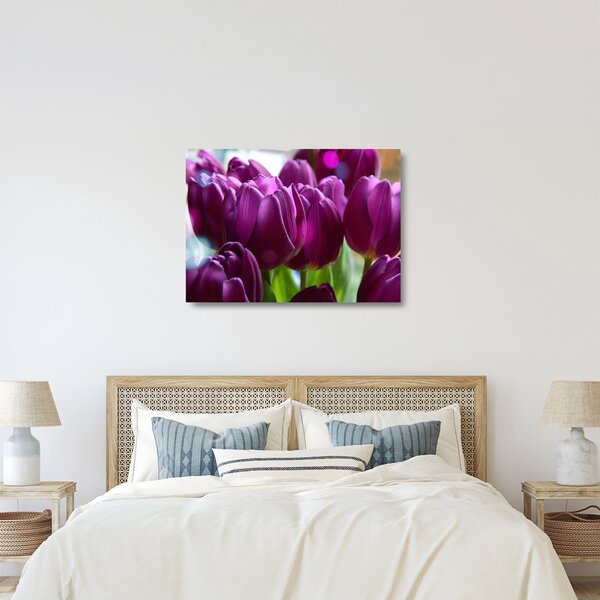 Skleněný obraz tulipánů (70x50 cm)
