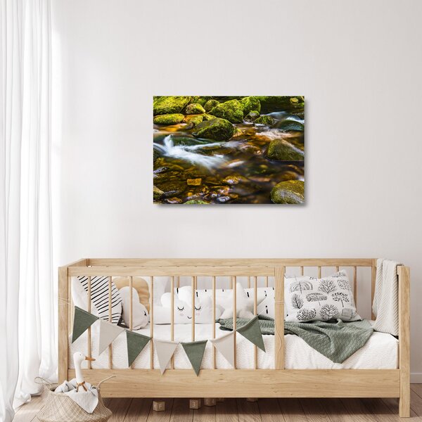 Skleněný obraz potůčku (70x50 cm)