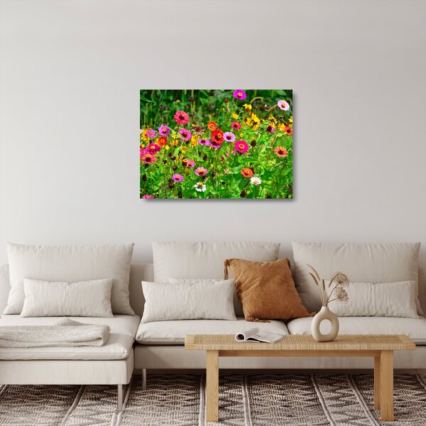 Skleněný obraz lučního kvítí (70x50 cm)