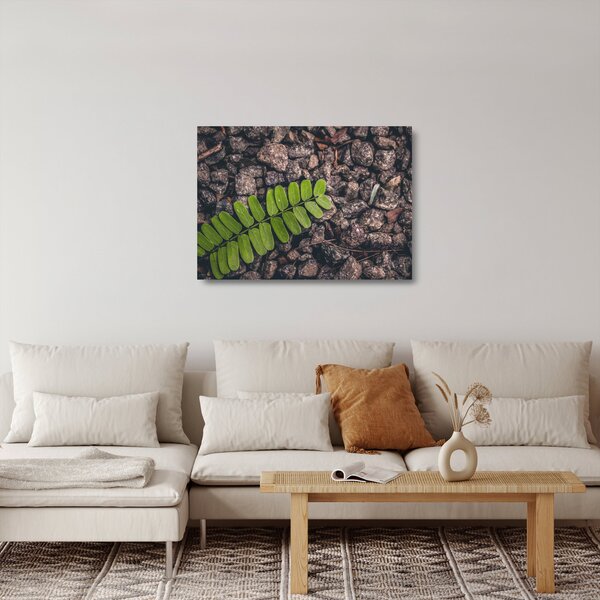 Skleněný obraz zelené rostliny (70x50 cm)
