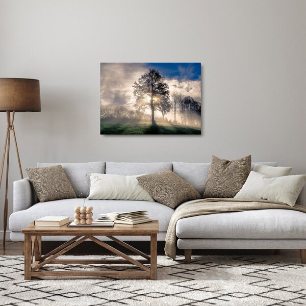 Skleněný obraz stromu v mlze (70x50 cm)