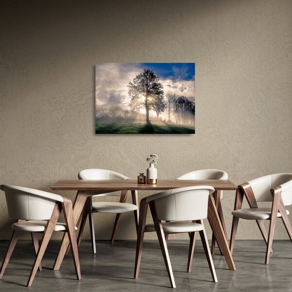 Skleněný obraz stromu v mlze (70x50 cm)