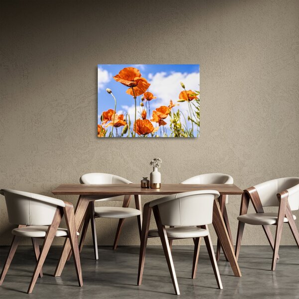 Skleněný obraz vlčích máků (70x50 cm)