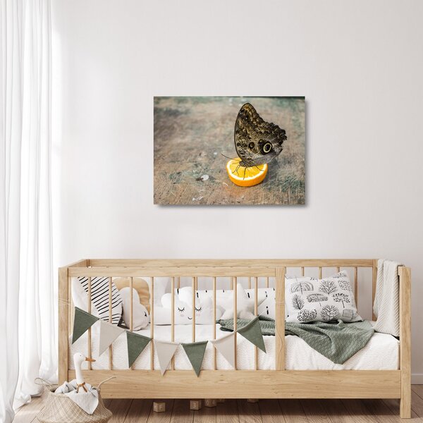 Skleněný obraz motýla (70x50 cm)