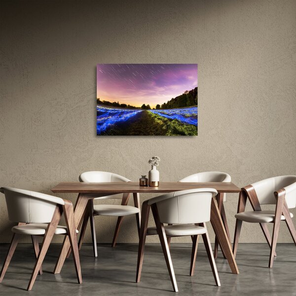 Skleněný obraz barevného pole (70x50 cm)