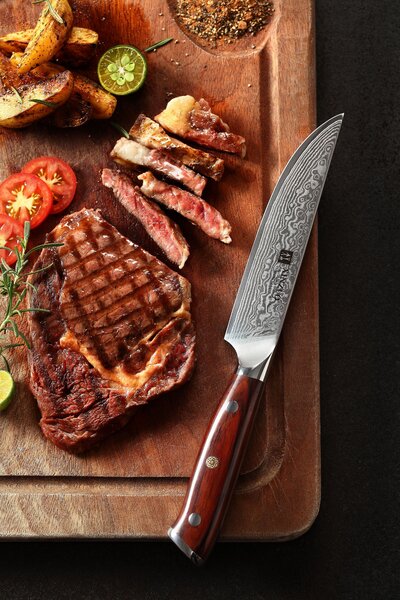 Steakový nůž XinZuo Yu B13R 5"
