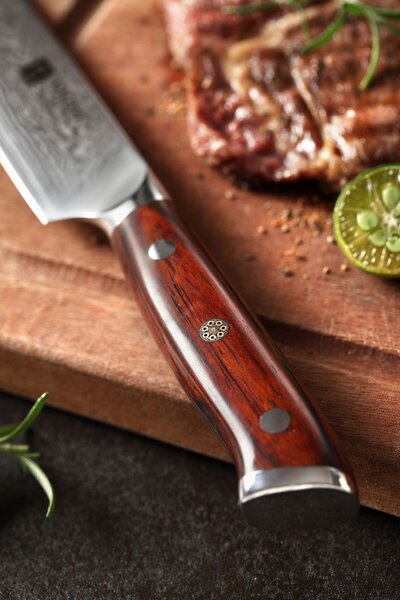 Steakový nůž XinZuo Yu B13R 5"