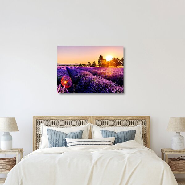 Skleněný obraz levandulového pole (70x50 cm)